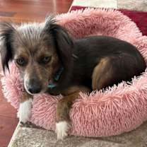 Thumbnail photo of Serene #3