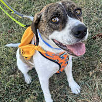 Thumbnail photo of Willie #3