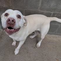 Thumbnail photo of Apple #2