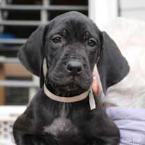 Thumbnail photo of Nick #1