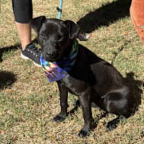 Thumbnail photo of JET #2