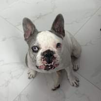 Thumbnail photo of Lunita #3