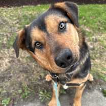 Thumbnail photo of Squatch #3