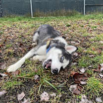 Thumbnail photo of Billy #2