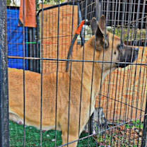 Thumbnail photo of Blake #1