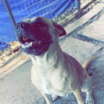 Thumbnail photo of Blake #2