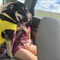 Thumbnail photo of Pink Taylor #3