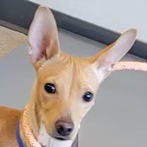 Thumbnail photo of Boy #1