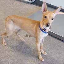 Thumbnail photo of Boy #2