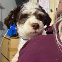 Thumbnail photo of Jasper 05A- 14705 #1