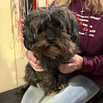 Thumbnail photo of Hannah 01A- 14701 #1