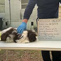 Thumbnail photo of Summer 04A- 14704 #2