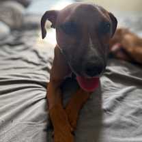 Thumbnail photo of Maximilian Grinch #3