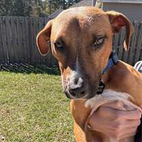 Thumbnail photo of Maximilian Grinch #4