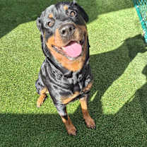 Thumbnail photo of Zoie 5007 #1