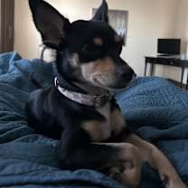 Thumbnail photo of Valentina #2