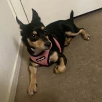 Thumbnail photo of Valentina #3