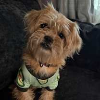 Thumbnail photo of Judah #1