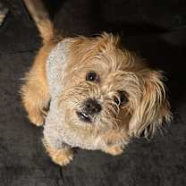 Thumbnail photo of Judah #4