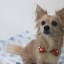 Thumbnail photo of Gigi #2