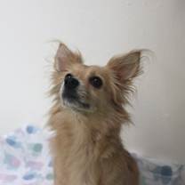 Thumbnail photo of Gigi #4