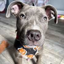 Thumbnail photo of Kenny #1