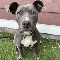 Thumbnail photo of Kenny #2