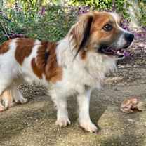 Thumbnail photo of Gregory #4