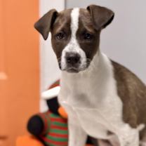 Thumbnail photo of Grant #3