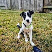 Thumbnail photo of Remi *SN* #1