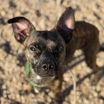 Thumbnail photo of Therman #2