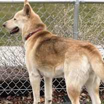 Thumbnail photo of Stormy #2