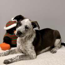 Thumbnail photo of Malcolm #2