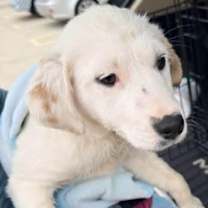 Thumbnail photo of Kate McAllister #1