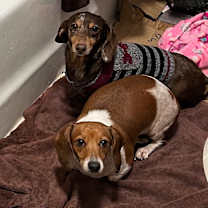 Thumbnail photo of Delta #4