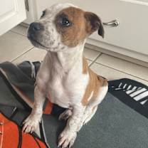 Thumbnail photo of Derrick #2