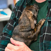 Thumbnail photo of Alanzo #2