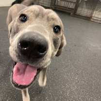 Thumbnail photo of Josie #3