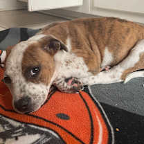 Thumbnail photo of Derrick #4