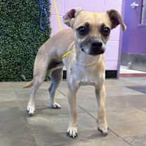 Thumbnail photo of MILO. #2