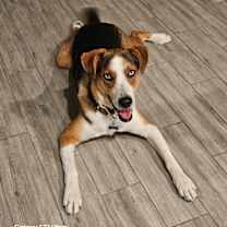 Thumbnail photo of Sol #1