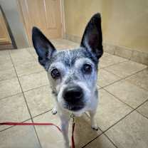 Thumbnail photo of Molleigh (WI) #1