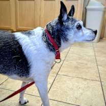 Thumbnail photo of Molleigh (WI) #4