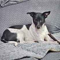 Thumbnail photo of Mercy (GA) #3