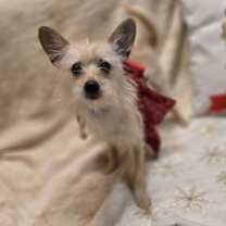 Thumbnail photo of Sprite #2