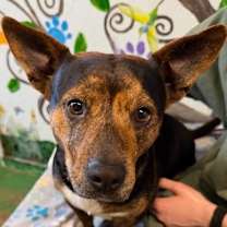 Thumbnail photo of Manny 25 #1