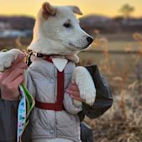 Thumbnail photo of Abby (H) #3