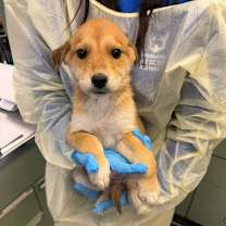 Thumbnail photo of Maggie #3