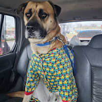 Thumbnail photo of Ali #3