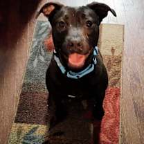 Thumbnail photo of Allie Dean #2